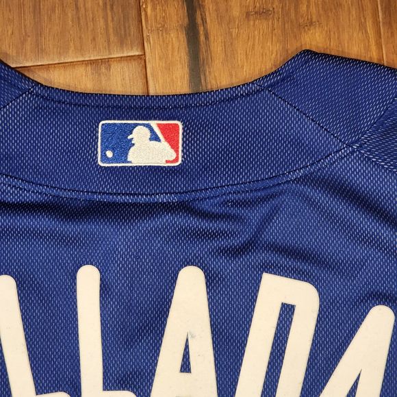 Mitchell & Ness Authentic Roy Halladay Philadelphia Phillies 2010 BP Jersey L - Picture 4 of 10